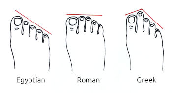 foot forms